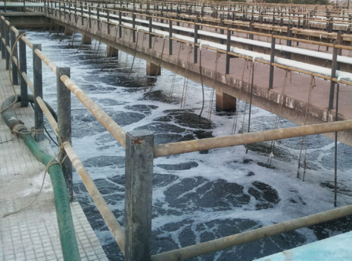 案例 - PEPL：Palsana Enviro Protection Ltd.，印度